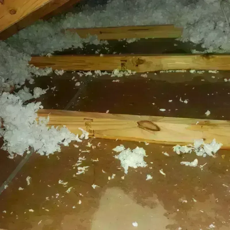 Attic Water Damage in Sandwich, NH